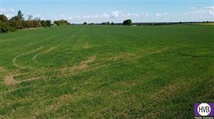 photo_10