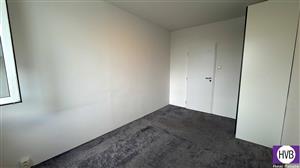 photo_5