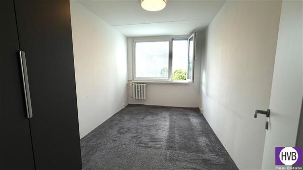 photo_4