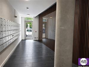 photo_4