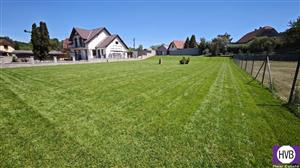 photo_3
