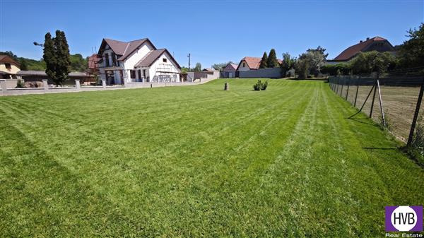 photo_3