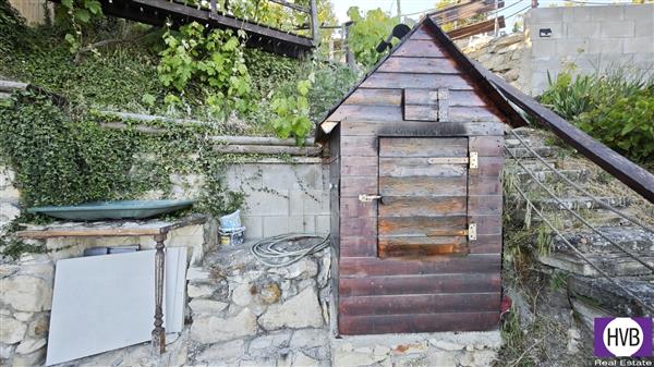 photo_17
