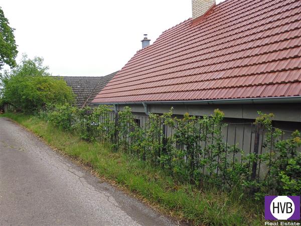photo_5