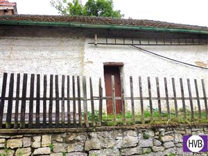 photo_8