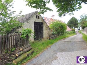photo_1