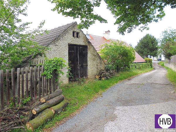 photo_4