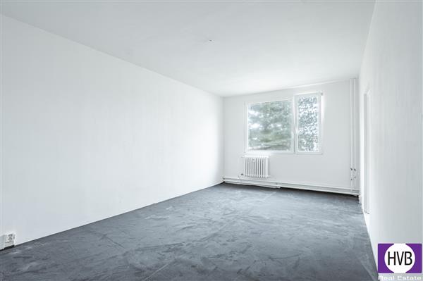 photo_1