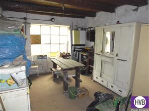 photo_6