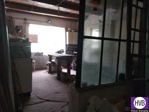 photo_7