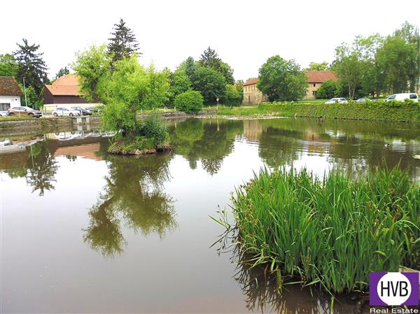 photo_14