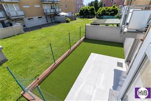 photo_6