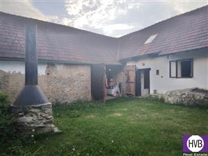 photo_6