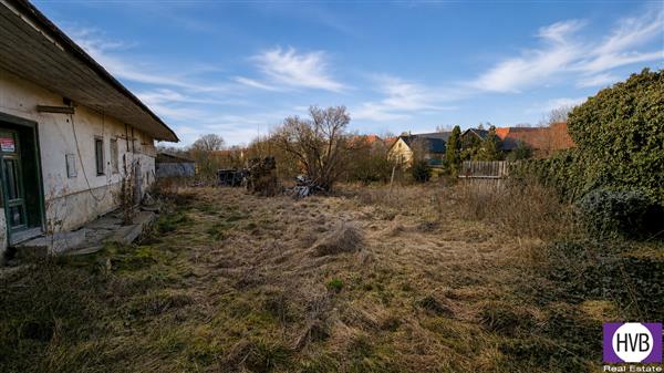 photo_5