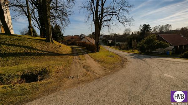 photo_7