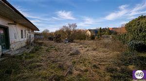 photo_5