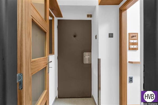 photo_11