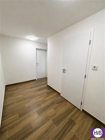 photo_6