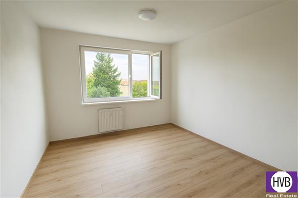 photo_4