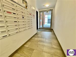 photo_10