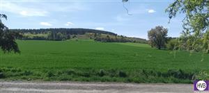 photo_5