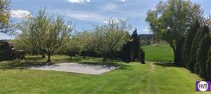 photo_6