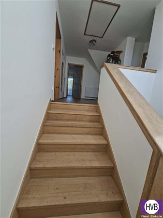 photo_12