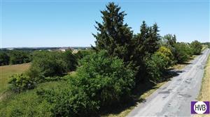 photo_3