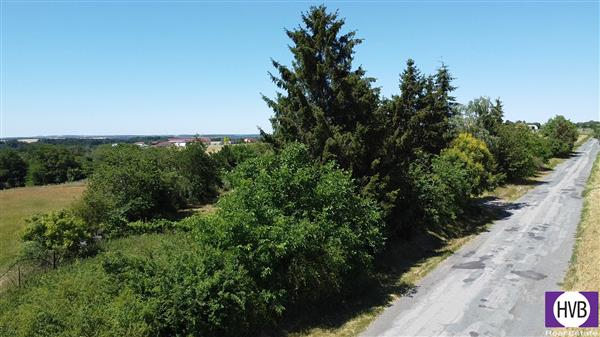 photo_3