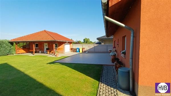 photo_3