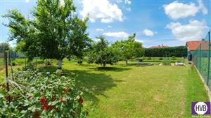 photo_6
