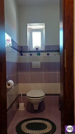 photo_17
