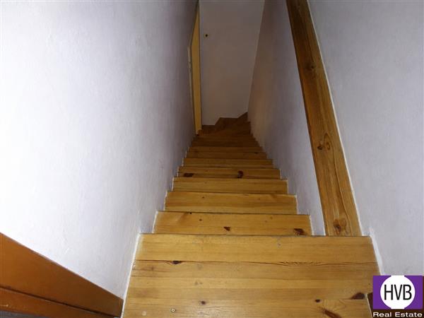 photo_8