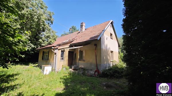 photo_3