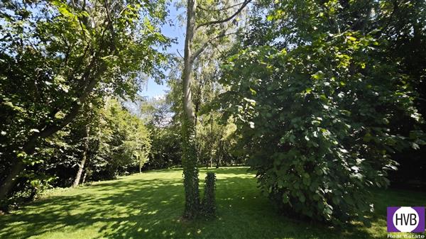 photo_5