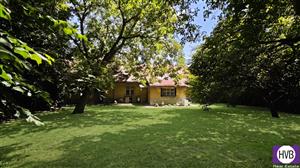 photo_10