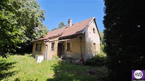 photo_3