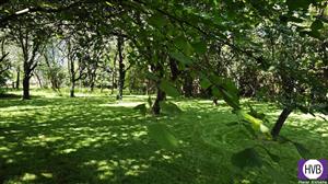 photo_4