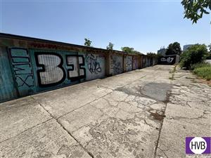 photo_4