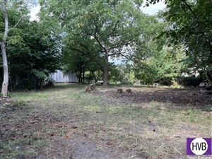 photo_1
