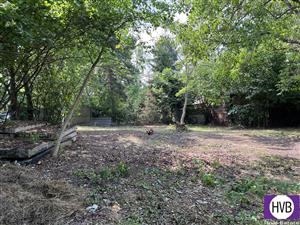 photo_3