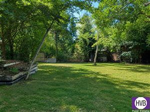 photo_7