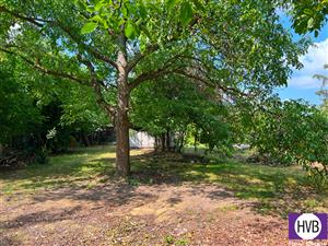 photo_7
