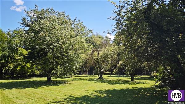 photo_3