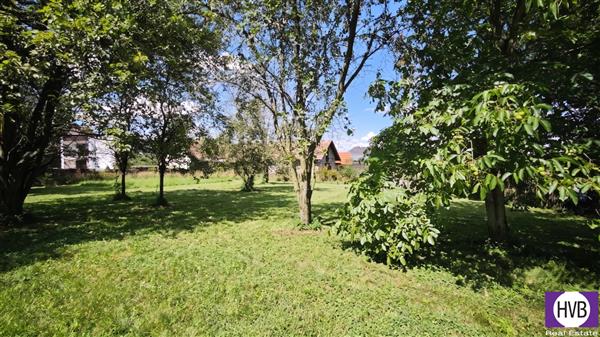 photo_5
