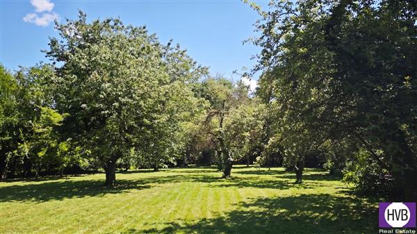 photo_6