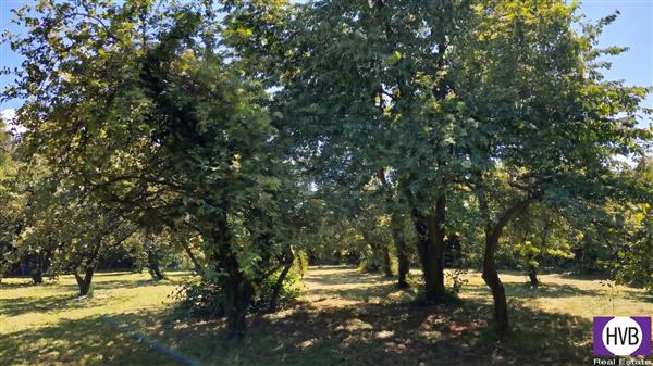photo_9