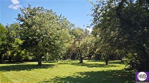 photo_3