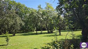 photo_7