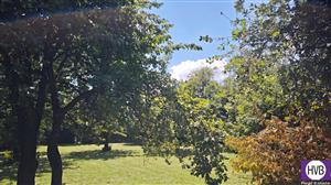 photo_10